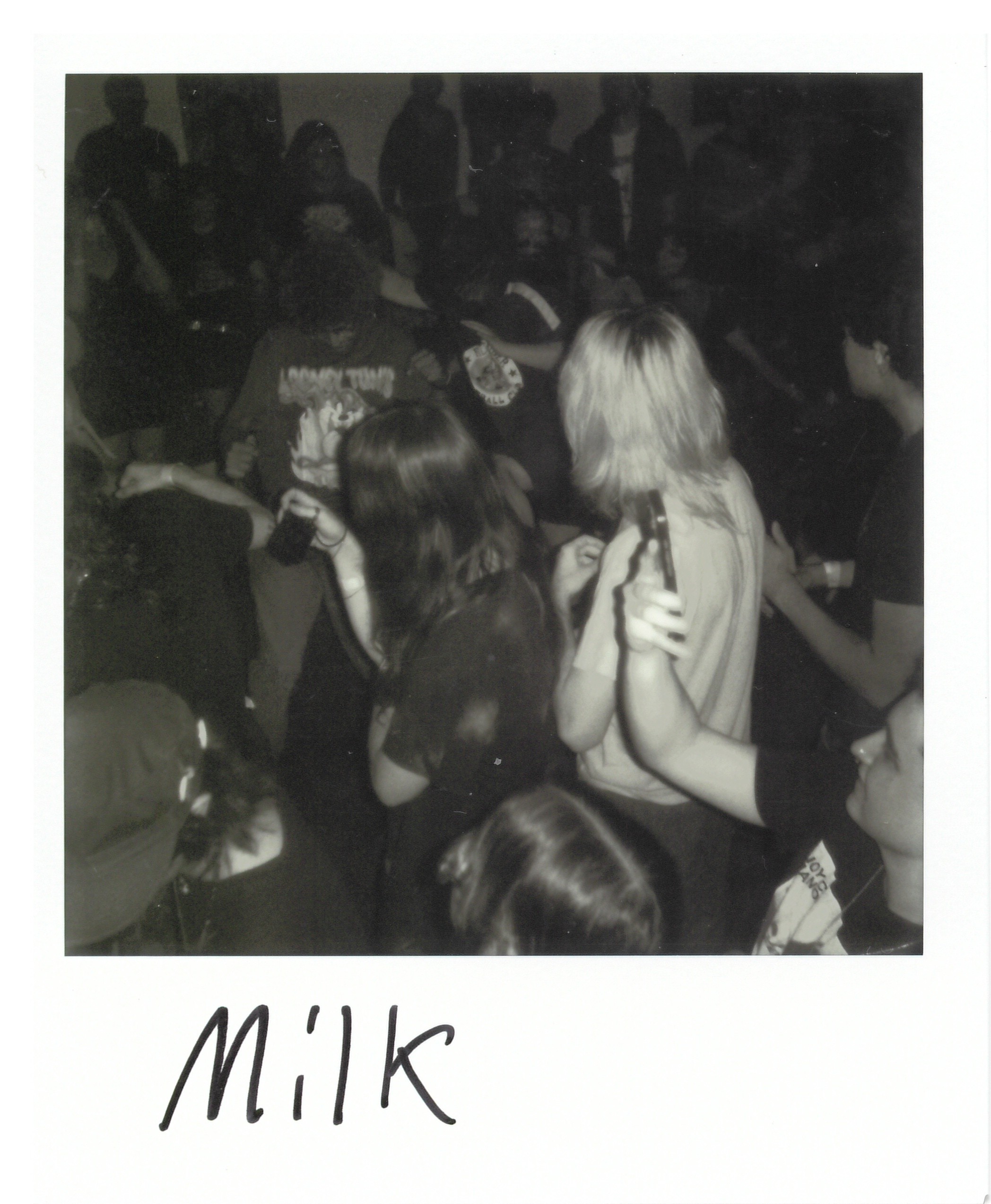 Photo of the crowd and mosh during the Milk set